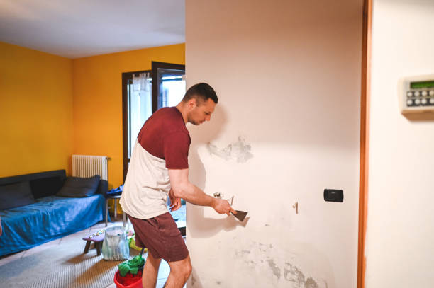 Certified Mold Removal in Star City, AR